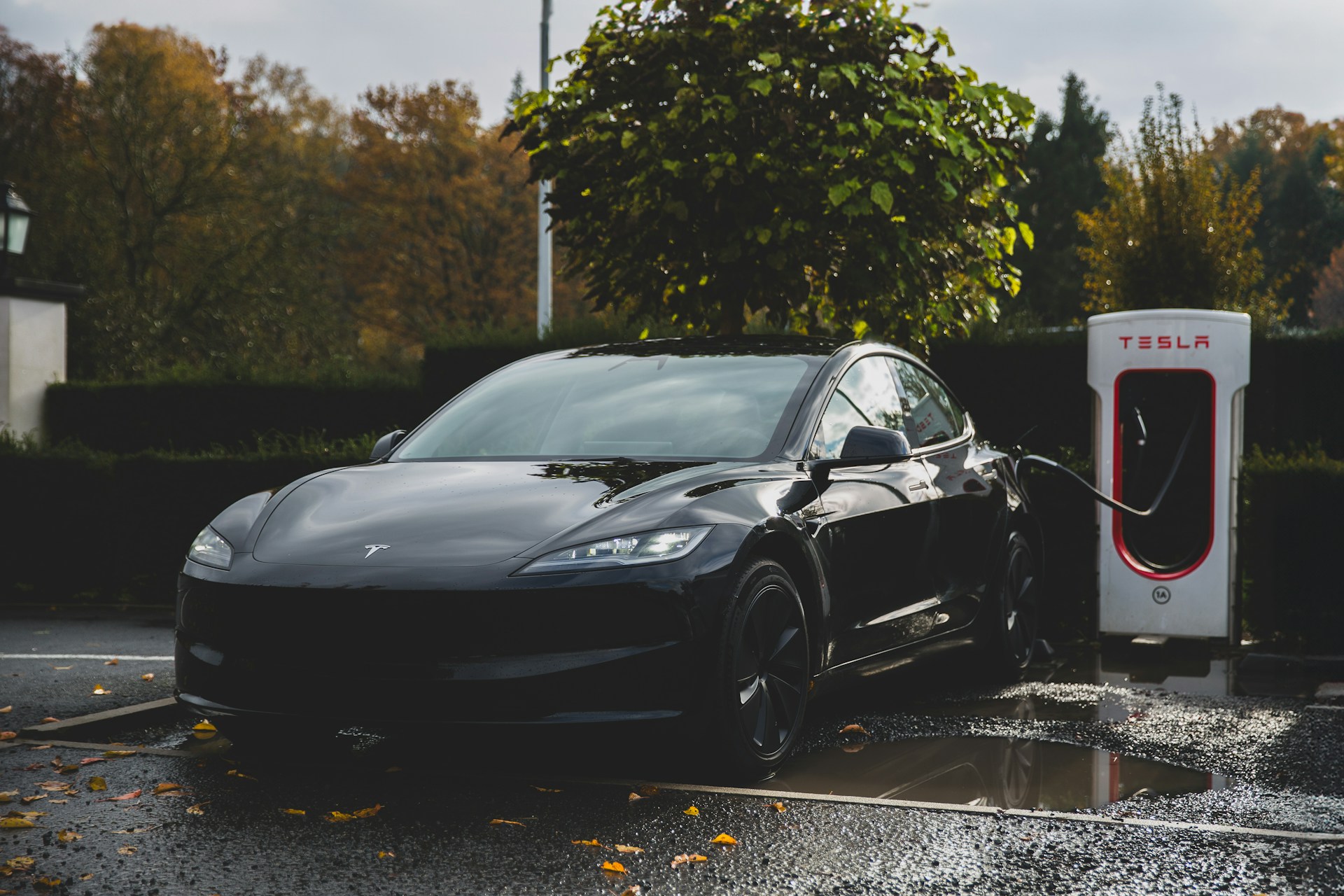tesla model 3 taille tesla model 3 taille