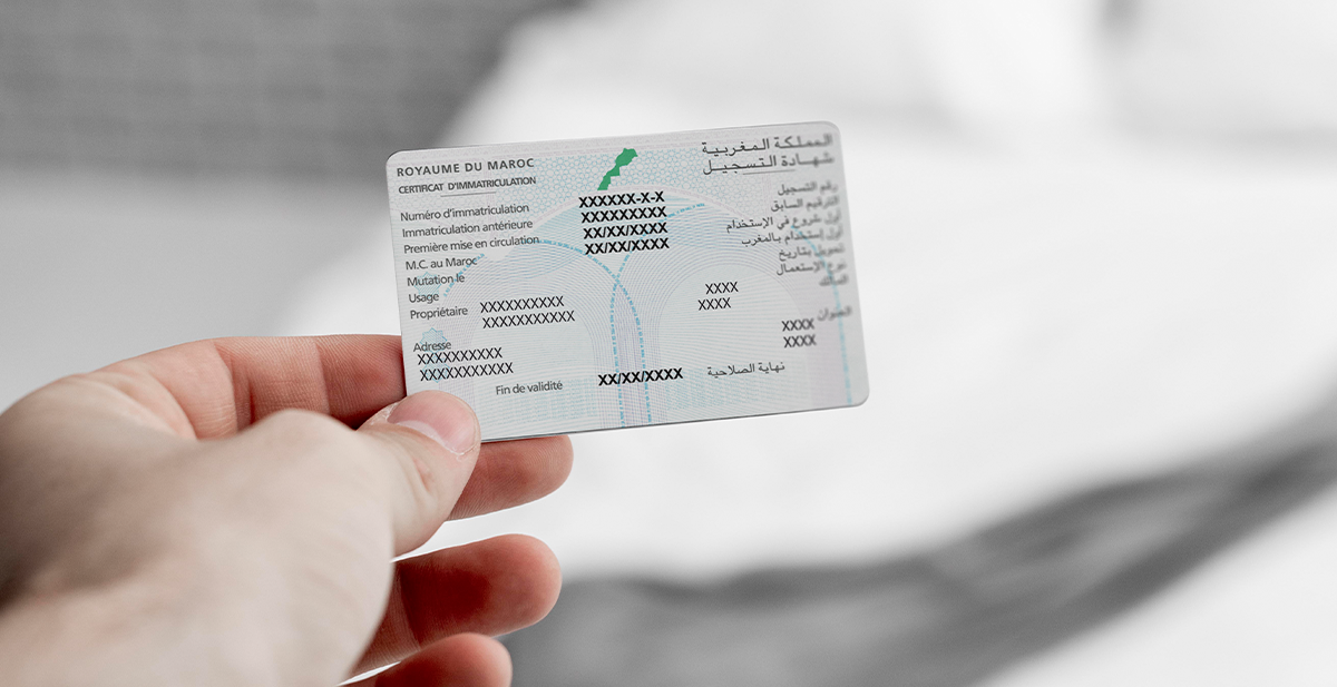 lire-une-carte-grise