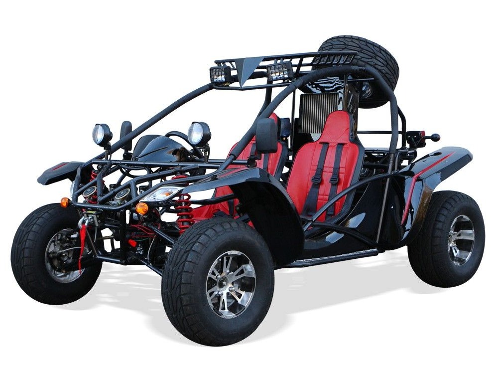 buggy-homologue
